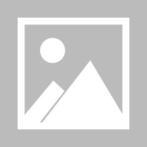 体育官网-利物浦晋级本菲卡带货 进球大战各取所需不伤和气